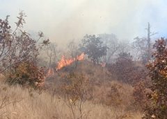 Quema de pastizales genera humo denso en Oaxaca de Juárez: CEPCyGR