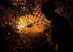 Xoxocotlán: Protección Civil responde con más de 100 servicios durante vacaciones