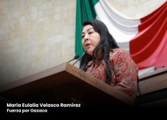 Presentan iniciativa para incorporar un enfoque integral para el control poblacional de perros y gatos