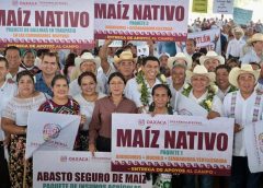 Invierte Primavera Oaxaqueña 79 mdp para transformar el campo en la Cuenca del Papaloapan