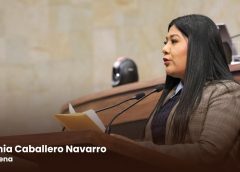 “Los problemas de México los vamos a resolver las y los mexicanos, sin tutelas ni presiones del exterior”: diputada Tania Caballero