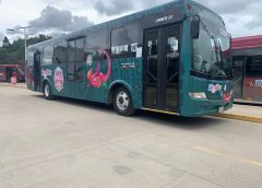 Abre BinniBus ruta gratuita desde la terminal Yuroo Viguera al Parque Primavera Oaxaqueña
