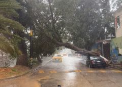 Árboles caídos y encharcamientos dejan lluvias en la Zona Metropolitana de Oaxaca