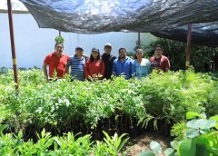 Recibe Xoxocotlán árboles para impulsar la reforestación urbana