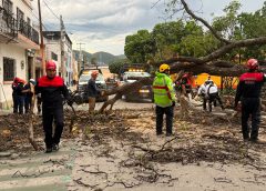 Atiende Gobierno del Estado reportes de árboles caídos en diversos puntos de la Zona Metropolitana de Oaxaca