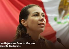 Proponen fortalecer acciones de bienestar animal y tenencia responsable de mascotas en la capital