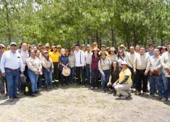 Reiteran Gobiernos de Oaxaca y México compromiso para fortalecer acciones de reforestación en Oaxaca