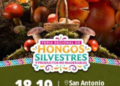 Vive en San Antonio Cuajimoloyas la Feria de los Hongos
