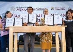 Con entrega de recursos, fortalece Claudia Sheinbaum política de Salomón Jara para protección del maíz nativo en Oaxaca