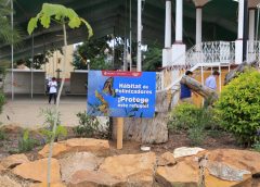 Instalan jardines polinizadores en Santa Cruz Xoxocotlán
