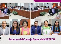 Sesiona Consejo General para conocer informes y aprobar medidas de colaboración con el INE para el Proceso Electoral 2026-2027