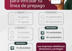 Gobiernos de Oaxaca y México avanzan en el registro de líneas de celulares