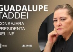 Guadalupe Taddei adelanta su renuncia al frente del INE